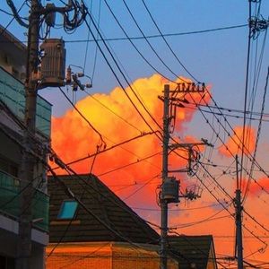 Meet your Posher, Nat